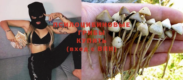 дживик Алексин